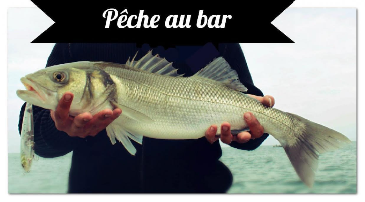 Pêche Arcachon1