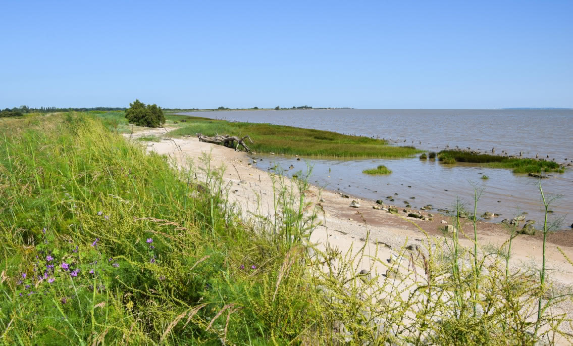 Boucle de l'Estuaire © medoc-atlantique-tourisme