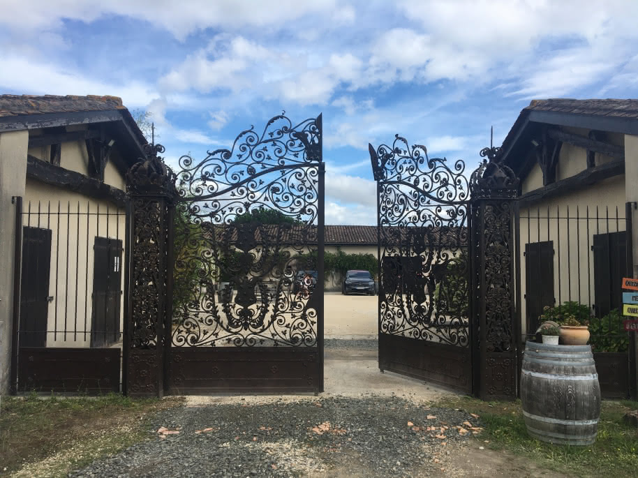 L'Ampélo ou L'Ampélographie au Château Hourtin-Ducasse (4)