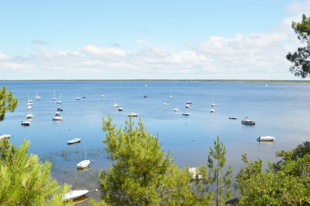 Tèrra Aventura Carcans Maubuisson - Ruee vers l'or des bois © medoc-atlantique-tourisme_41