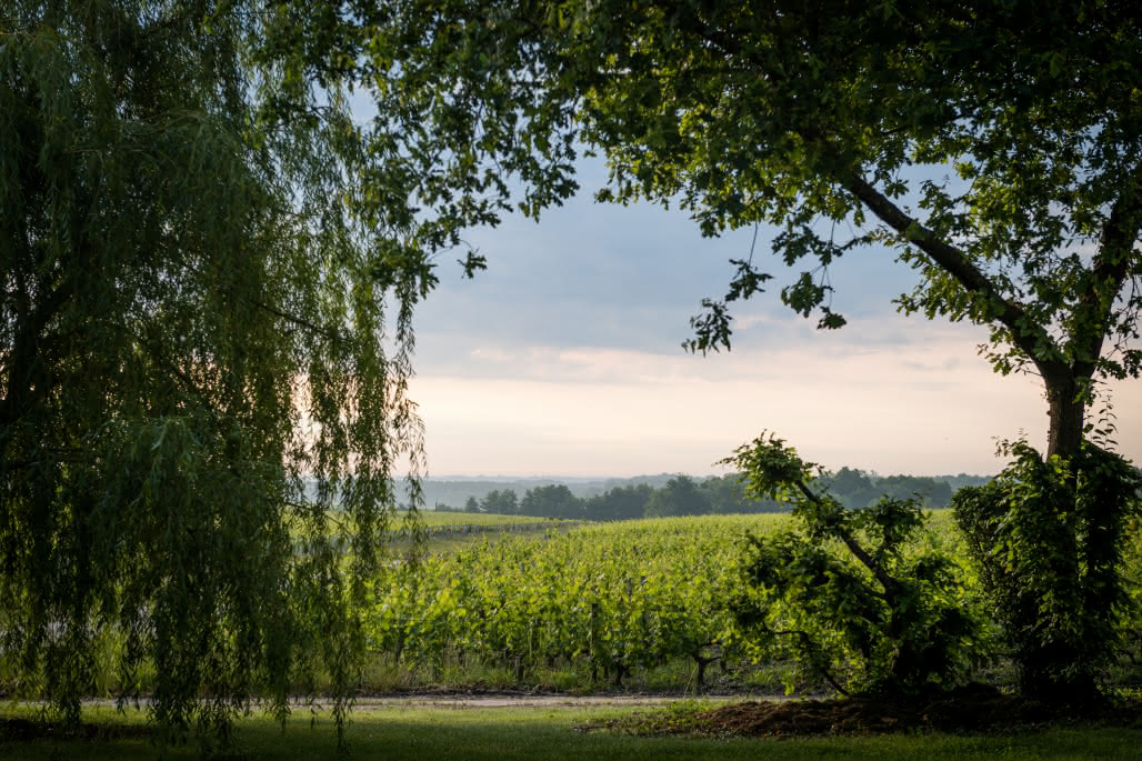 Camensac - juin- photo Christophe Goussard